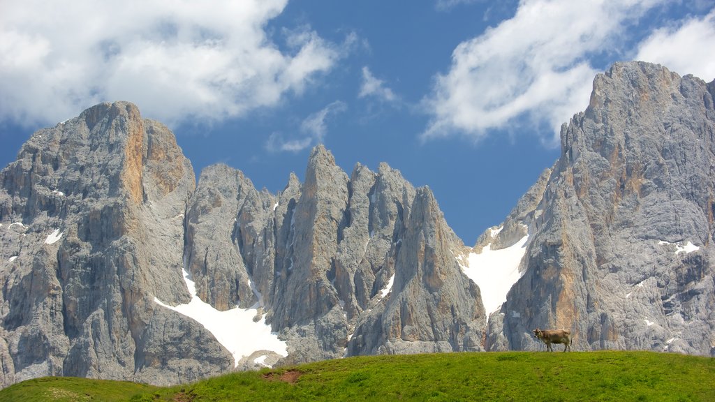 Passo Rolle showing mountains, land animals and skyline