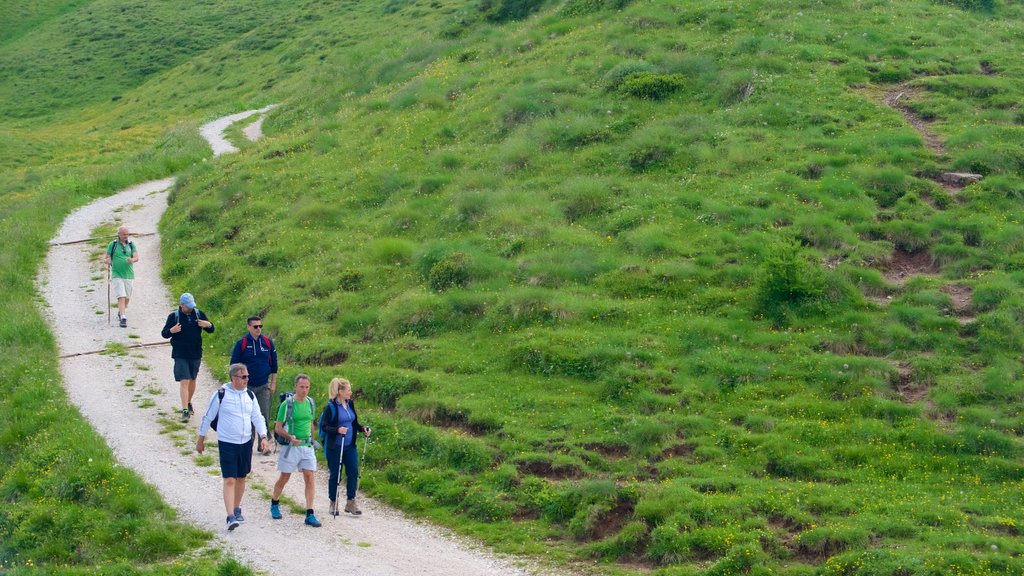 Passo Rolle toont hiken of wandelen en ook een klein groepje mensen