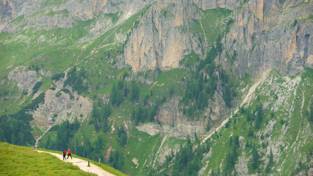 Passo Rolle caracterizando montanhas e escalada ou caminhada