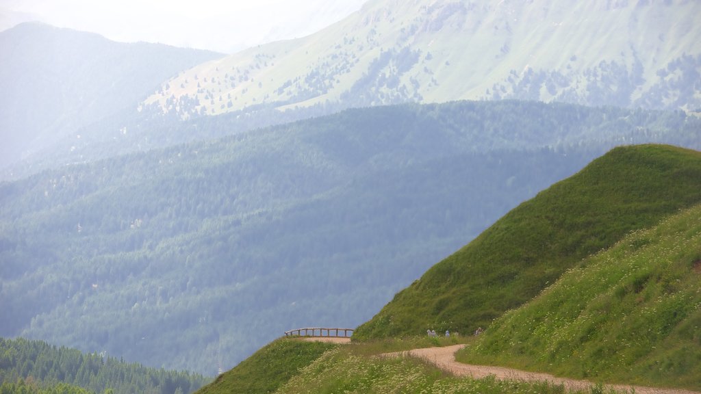 Passo Rolle que incluye montañas