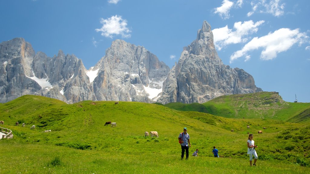 Passo Rolle featuring land animals and mountains as well as a small group of people