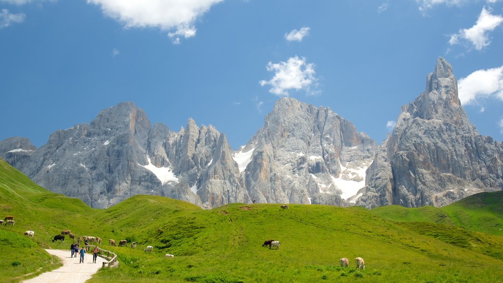 Passo Rolle que incluye animales terrestres, tierras de cultivo y montañas