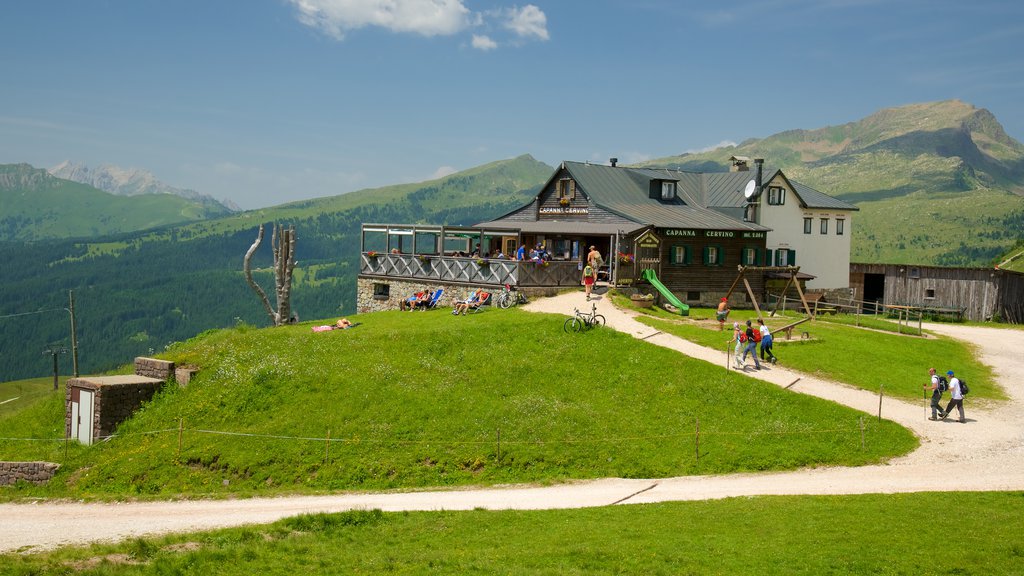 Passo Rolle showing café scenes and tranquil scenes as well as a small group of people