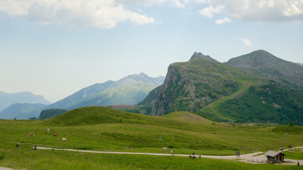 Passo Rolle som omfatter bjerge, landdyr og landbrugsområde