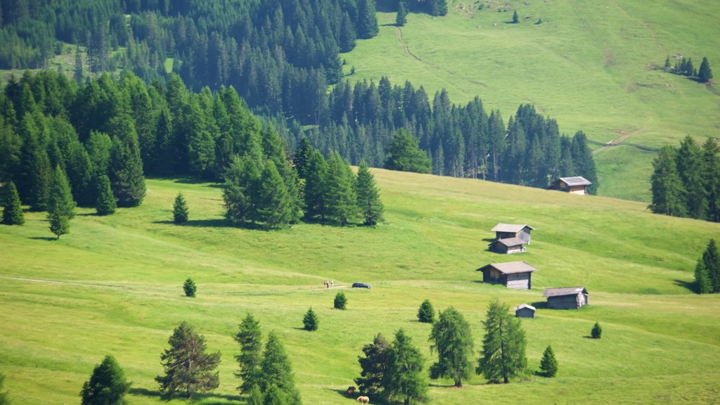 Alpe di Siusi menampilkan pemandangan lanskap dan lahan pertanian