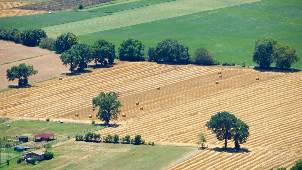 Rocca Maggiore featuring farmland