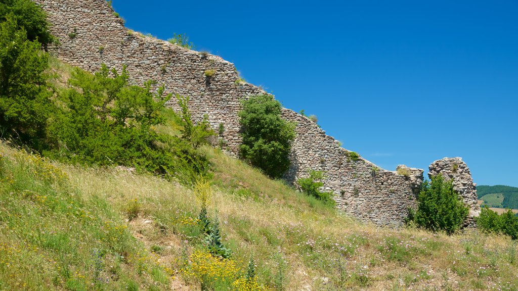 Rocca Maggiore ofreciendo un castillo