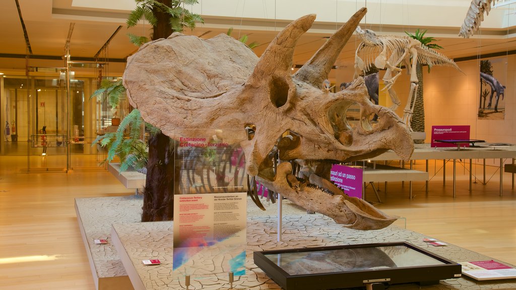 Museo Tridentino di Scienze Naturali featuring interior views