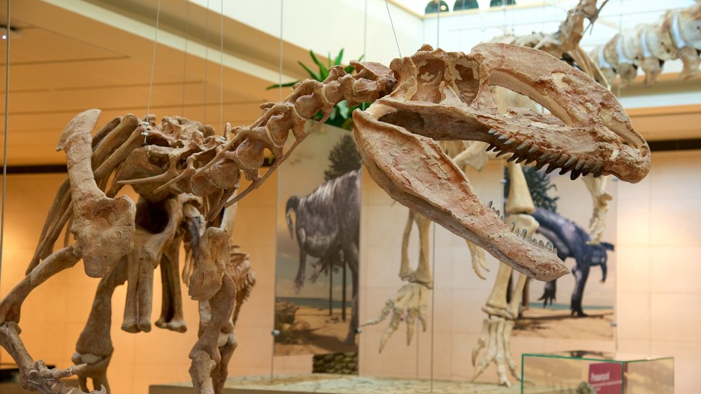 Museo Tridentino di Scienze Naturali showing interior views