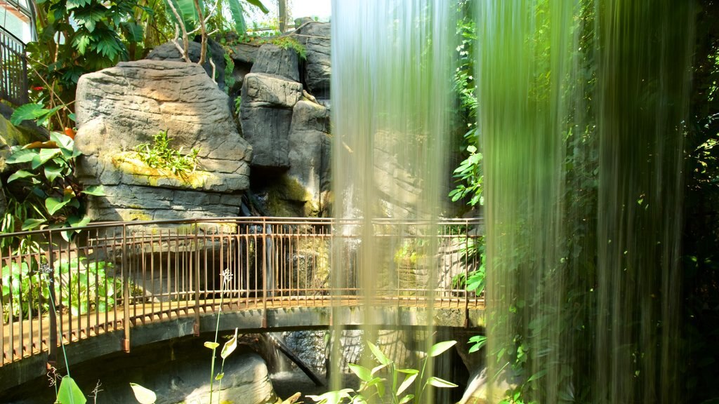 Museo Tridentino di Scienze Naturali showing a waterfall and modern architecture