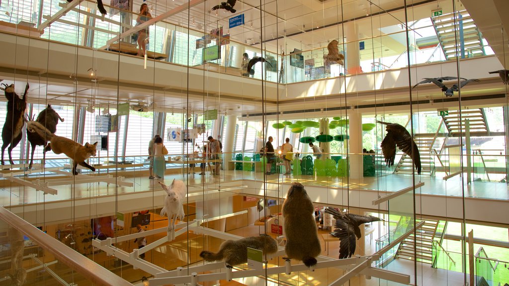 Museo Tridentino di Scienze Naturali showing interior views, modern architecture and land animals