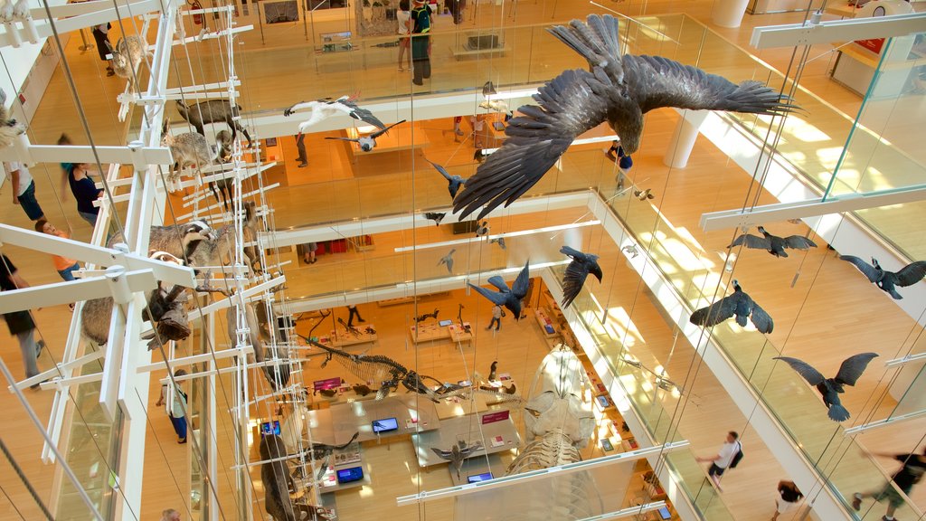 Museo Tridentino di Scienze Naturali mostrando vistas internas e vida das aves