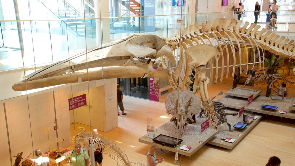 Museo Tridentino di Scienze Naturali que incluye vistas interiores y elementos del patrimonio