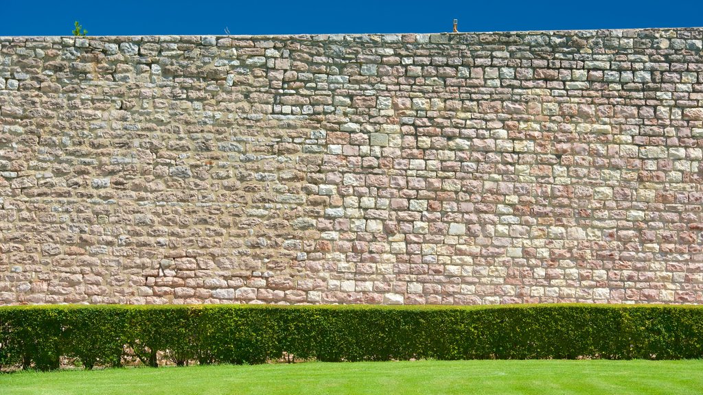 St. Frans av Assisis pavelige basilika som viser kirke eller katedral