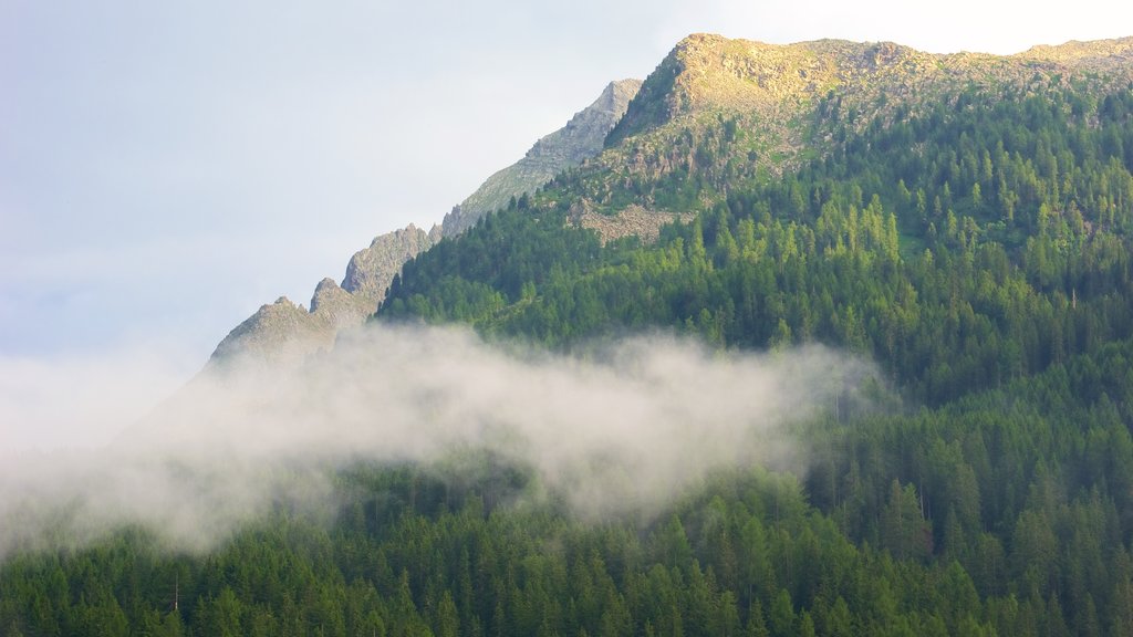 Trentino featuring mountains, forests and landscape views