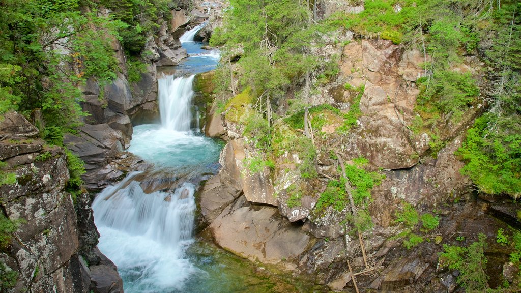 Trentino que inclui uma cachoeira e um rio ou córrego