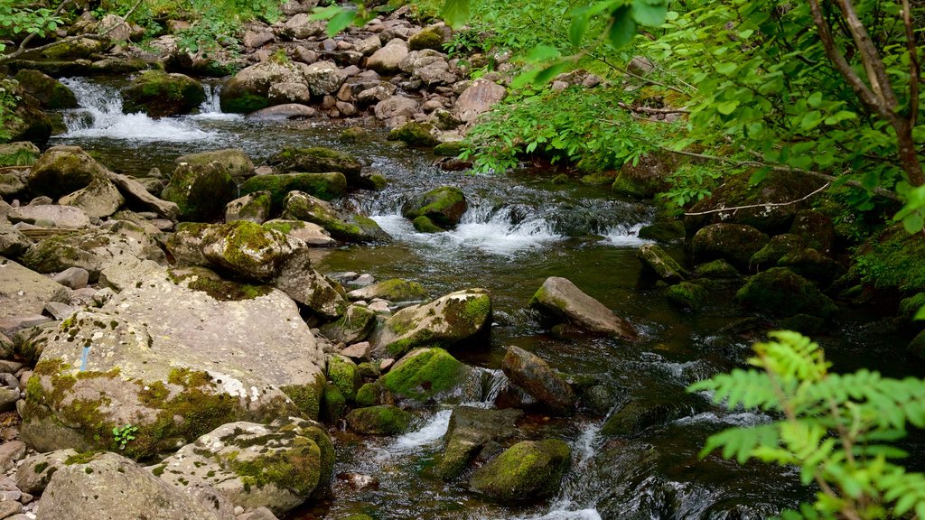 Trentin montrant une rivière ou un ruisseau