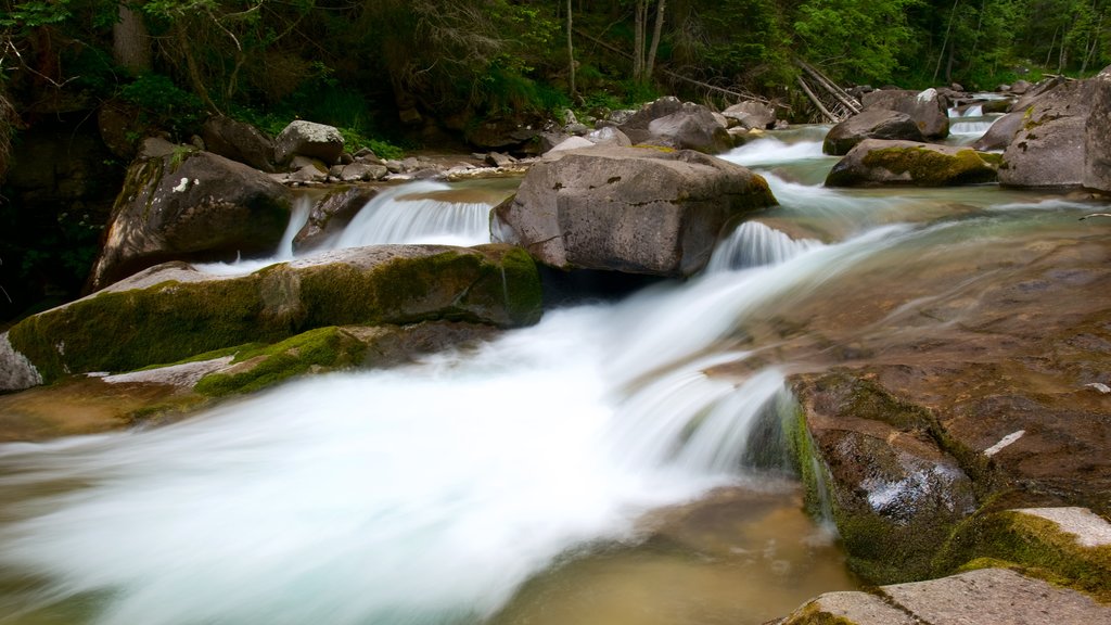 Trentino ofreciendo rápidos