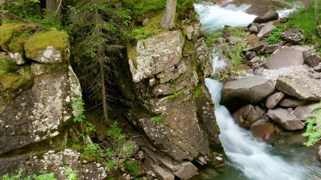 Trentino showing rapids and a river or creek