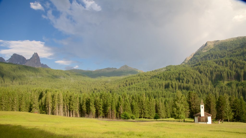 Trentino mostrando bosques, vistas de paisajes y una casa