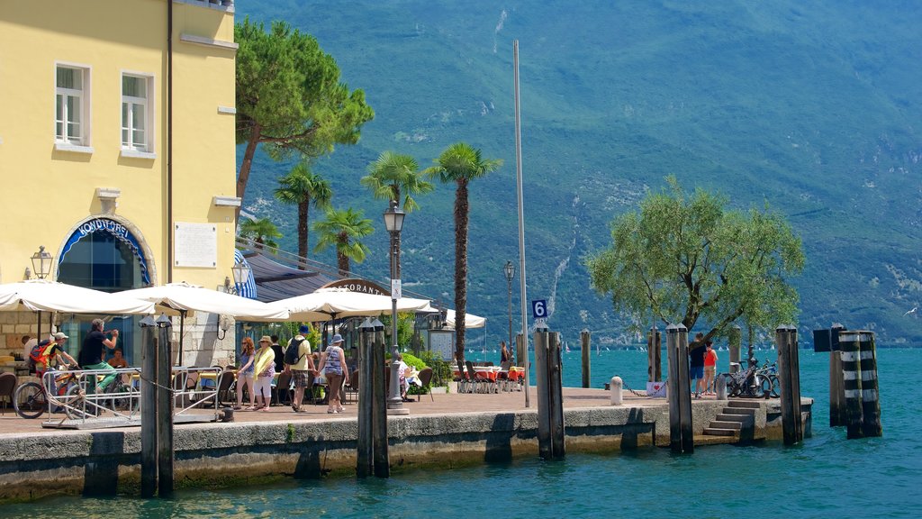 Trentino showing café lifestyle, a coastal town and general coastal views