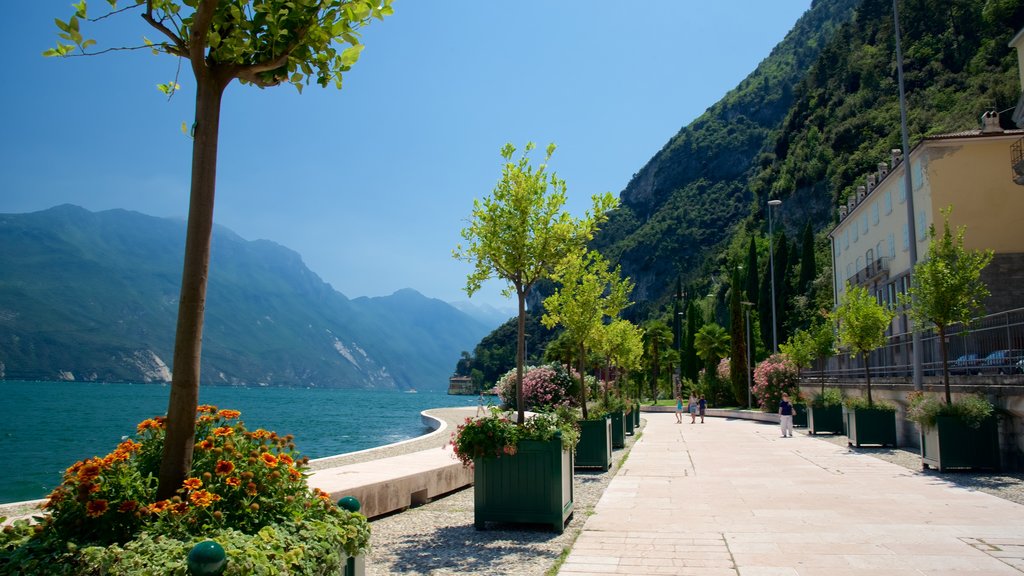 Trentino showing a coastal town and general coastal views