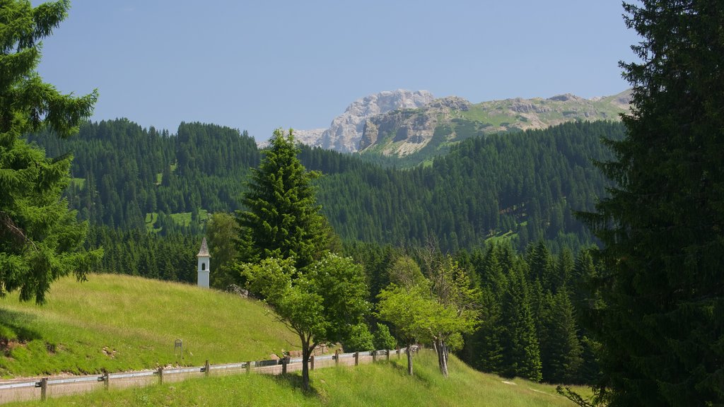 Trentino que incluye imágenes de bosques y vista panorámica