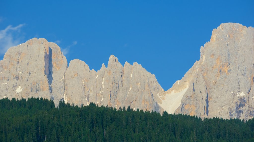 Trentino che include montagna