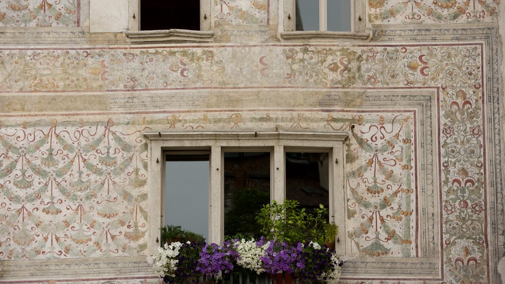 Trento ofreciendo flores y arquitectura patrimonial