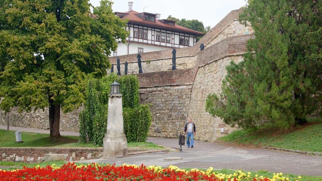 Kalemegdan Park which includes a garden