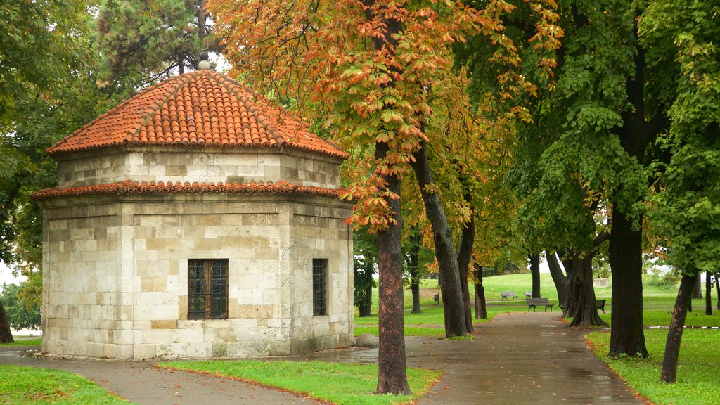 Parque Kalemegdan que incluye colores de otoño y un parque