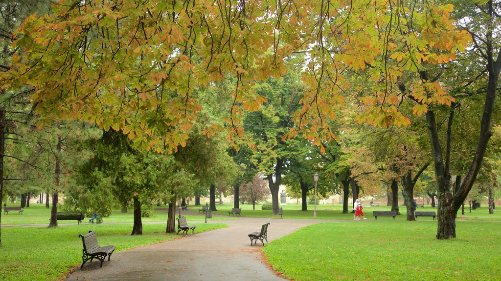 Kalemegdan Park showing autumn colours and a park