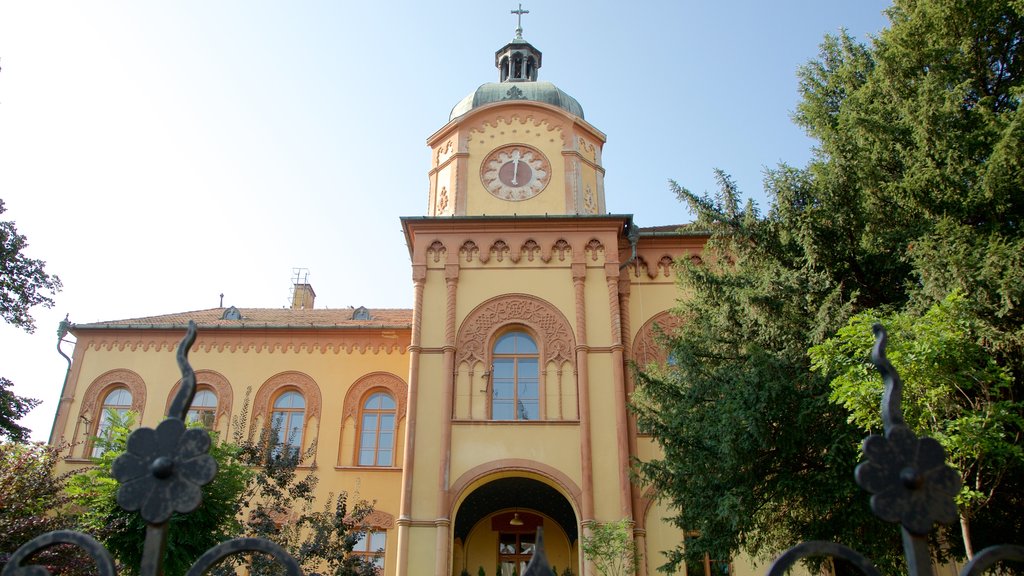 Sremski Karlovci toont historische architectuur en een stad