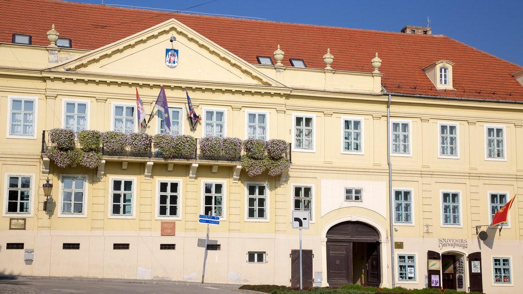 Sremski Karlovci showing heritage architecture and a city