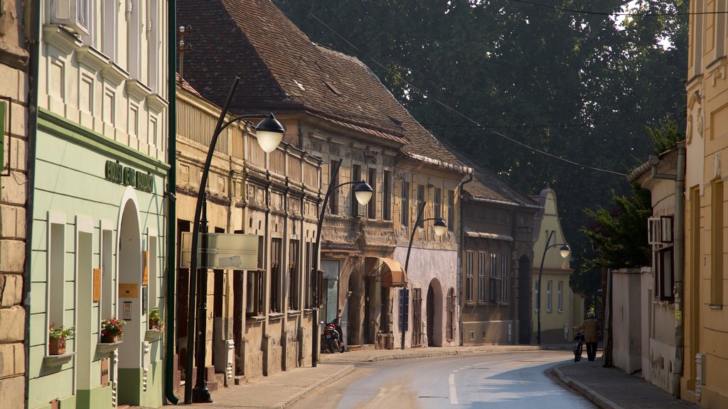 Sremski Karlovci showing street scenes