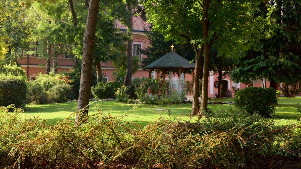 Sremski Karlovci showing a garden