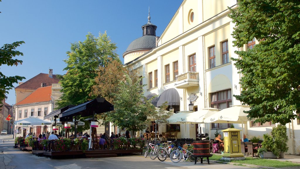 Sremski Karlovci toont straten, een stad en cafés