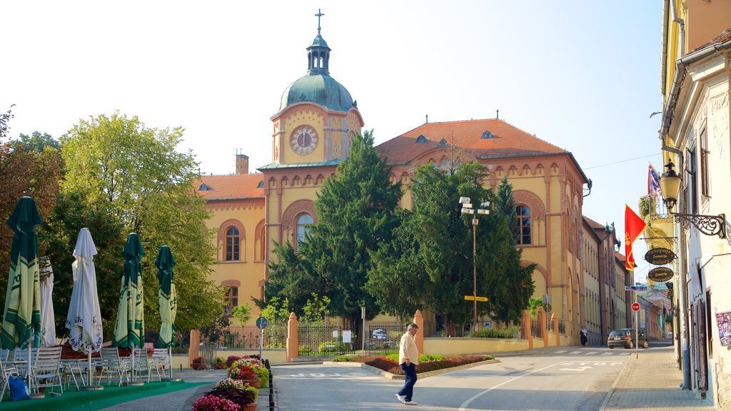 Sremski Karlovci featuring a city as well as an individual male