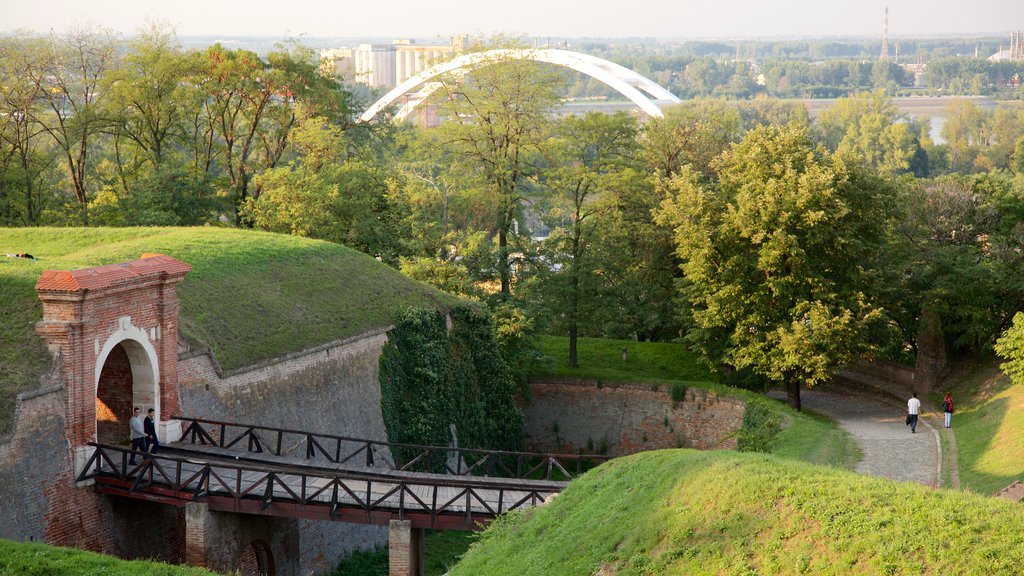 Petrovaradin Fortress showing a city and a bridge