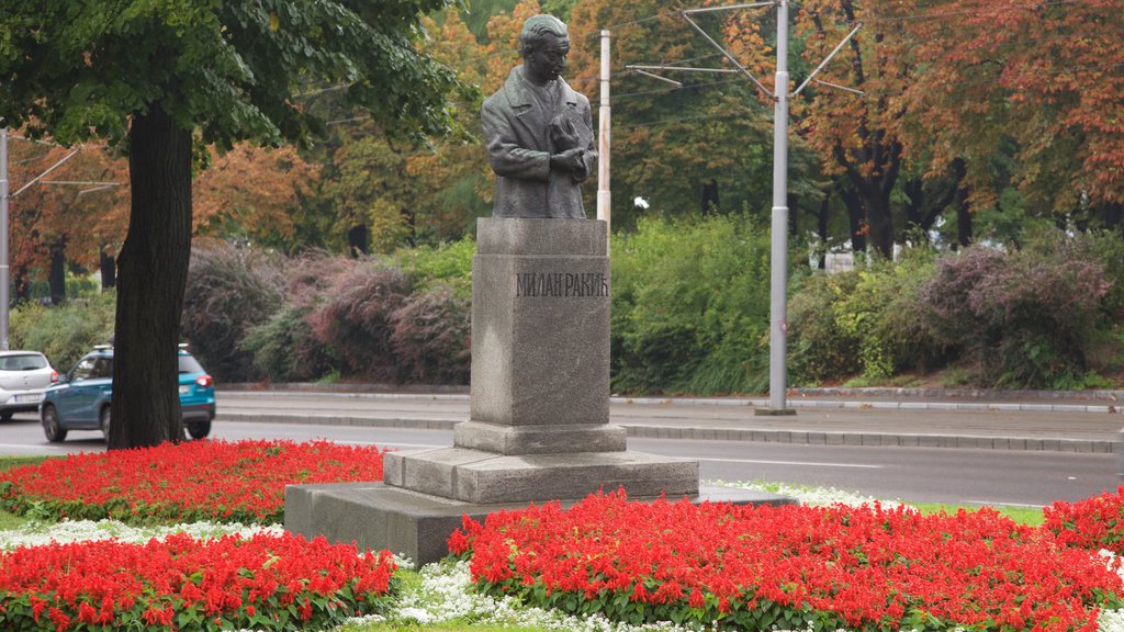 Kalemegdan Park showing a monument, flowers and a park