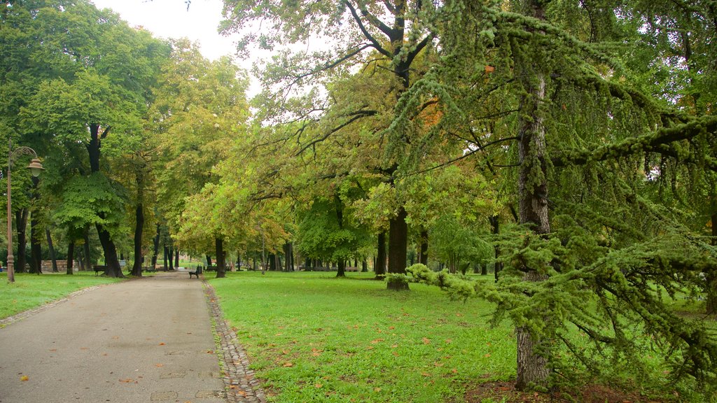 Parque Kalemegdan que incluye un parque