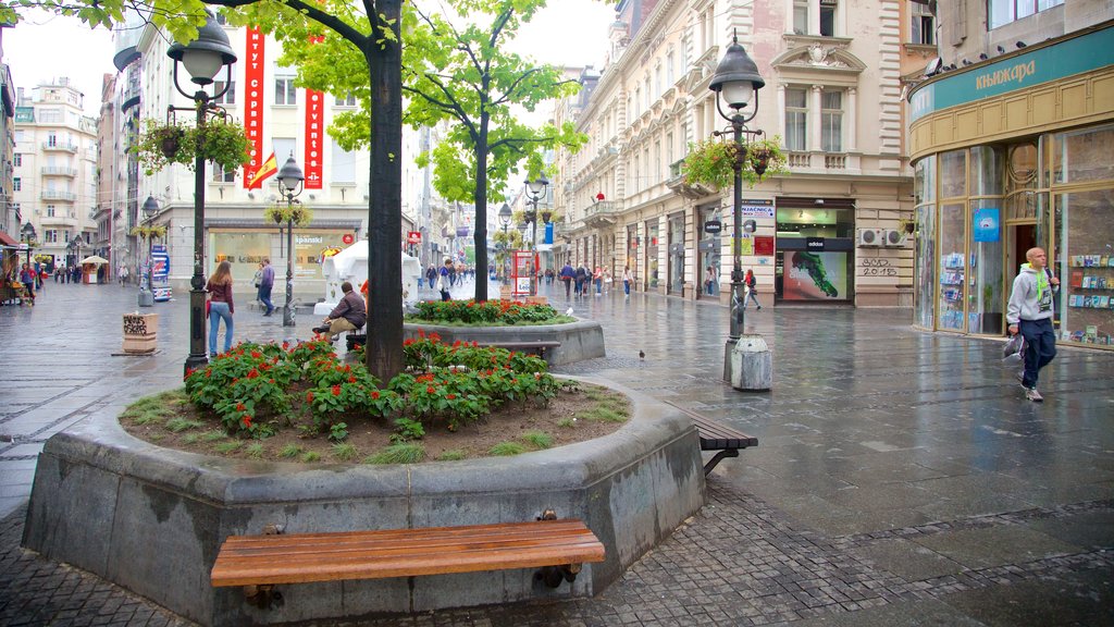 Knez Mihailova Street showing street scenes and a city