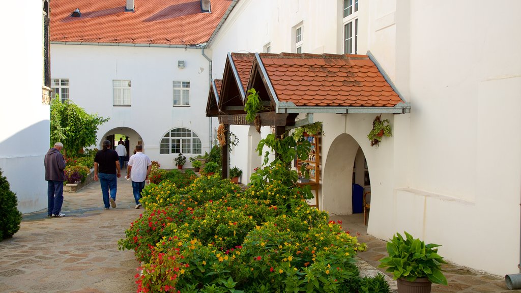 Fruska Gora National Park featuring a garden and heritage architecture