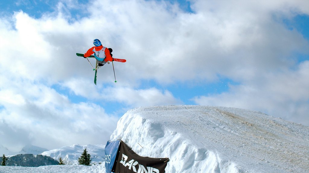 Mount Washington Alpine Resort showing snow and snow skiing