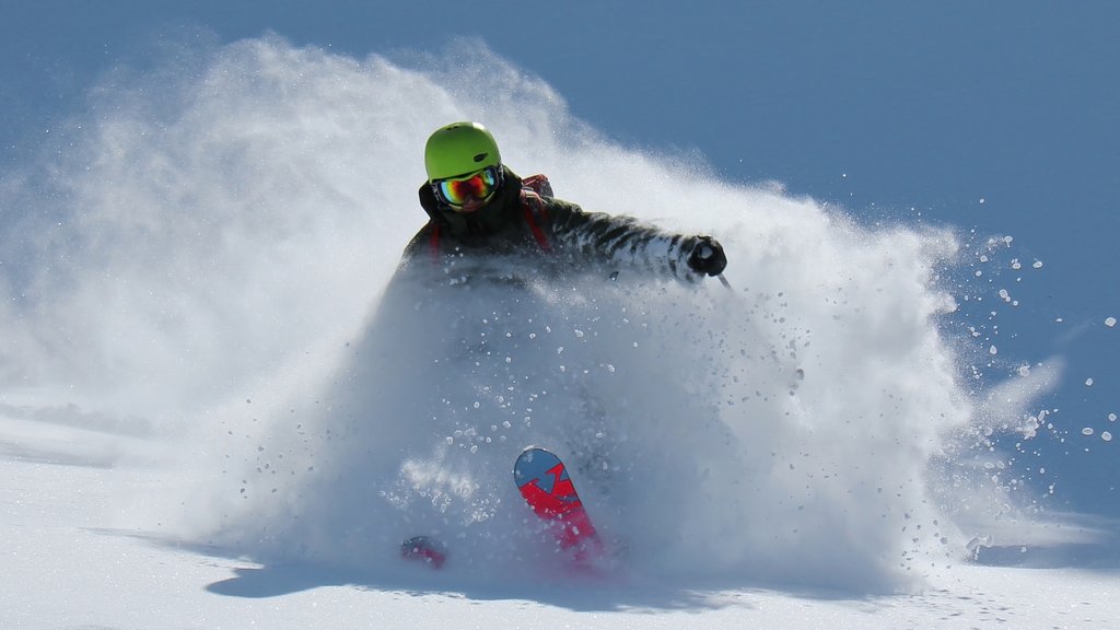 Mount Washington Alpine Resort showing snow and snow skiing