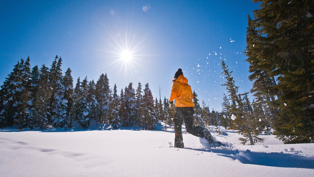 Mount Washington Alpine Resort featuring snow and snow shoeing