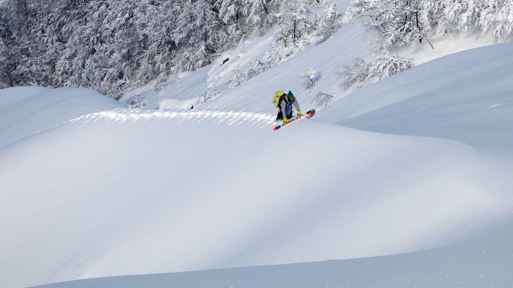 Cerro Bayo mostrando nieve y paseo en raquetas de nieve