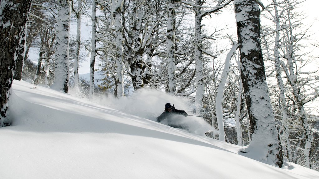 Cerro Bayo which includes snow and snow skiing