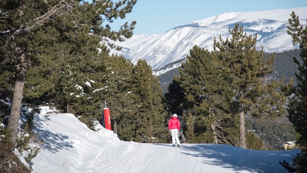 Estación de esquí La Molina que incluye nieve y esquiar en la nieve