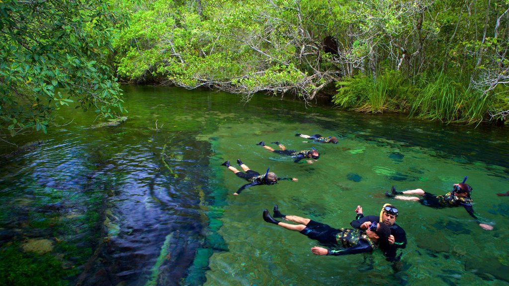 Bonito showing snorkelling and a lake or waterhole as well as a small group of people